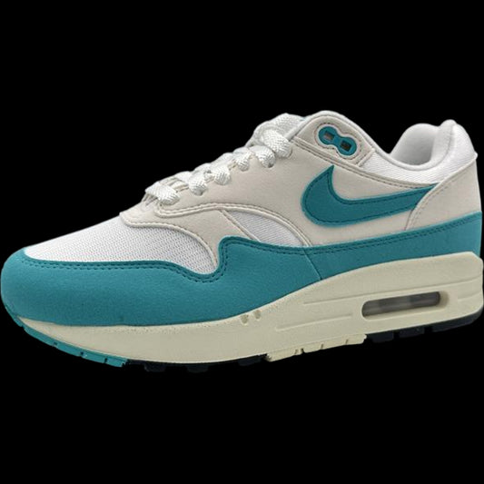 Nike Air Max 1 Dusty Cactus (Women's)